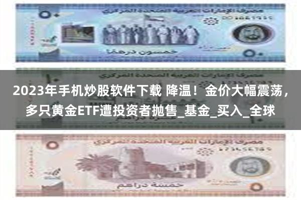 2023年手机炒股软件下载 降温！金价大幅震荡，多只黄金ETF遭投资者抛售_基金_买入_全球