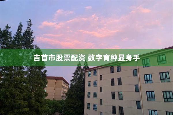 吉首市股票配资 数字育种显身手