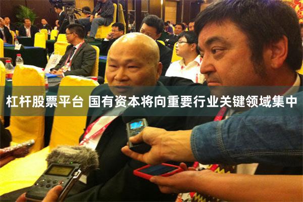 杠杆股票平台 国有资本将向重要行业关键领域集中