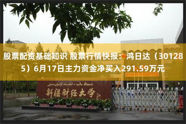 股票配资基础知识 股票行情快报：鸿日达（301285）6月17日主力资金净买入291.59万元