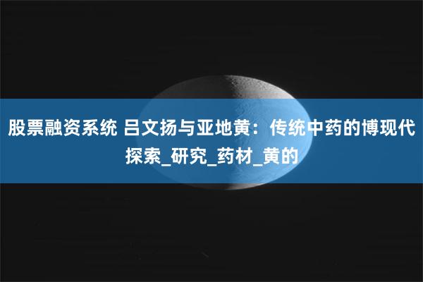 股票融资系统 吕文扬与亚地黄：传统中药的博现代探索_研究_药材_黄的